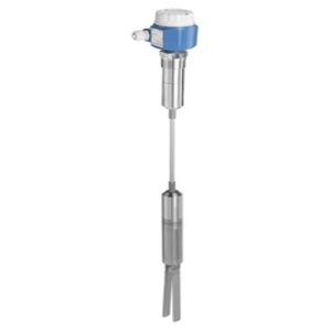 لول سوئیچ دیاپازونی Endress+Hauser FTM52