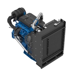 دیزل ژنراتور 250 کاوا بادوین